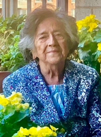Maria Teresa Webster